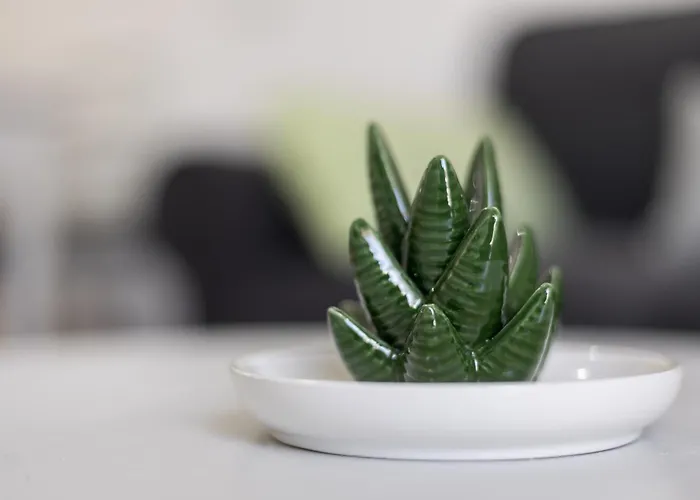 Home2book Cozy Beachfront Getaway In Apartment *